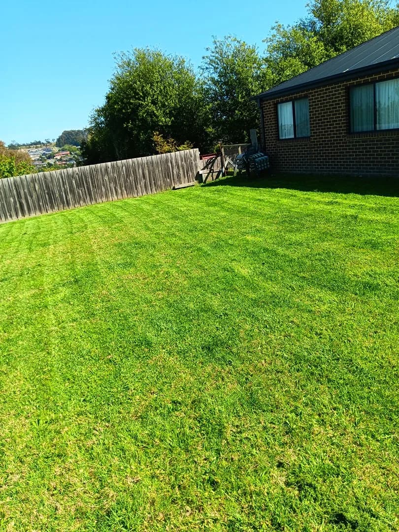 Freshly mown lawn after a Terra Maintenance visit in Pakenham