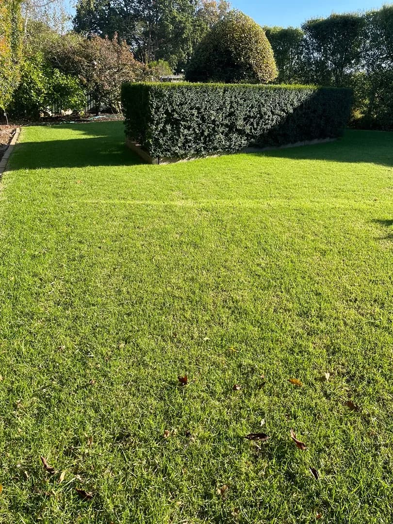 Mown lawn after a Terra Maintenance visit in Harkaway